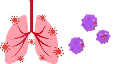 Bild von Variante B1617 verbreitet sich mit „erschreckender Geschwindigkeit“ um die Welt: Experten |  Gesundheitsinfo