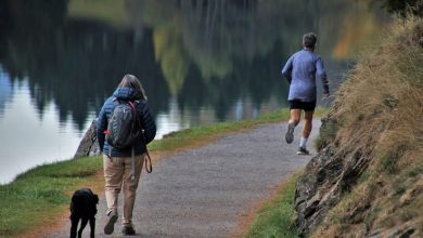 Bild von Studie legt nahe, dass die Exposition gegenüber der Natur während der COVID-19-Sperrung für die psychische Gesundheit von Vorteil ist |  Gesundheitsinfo